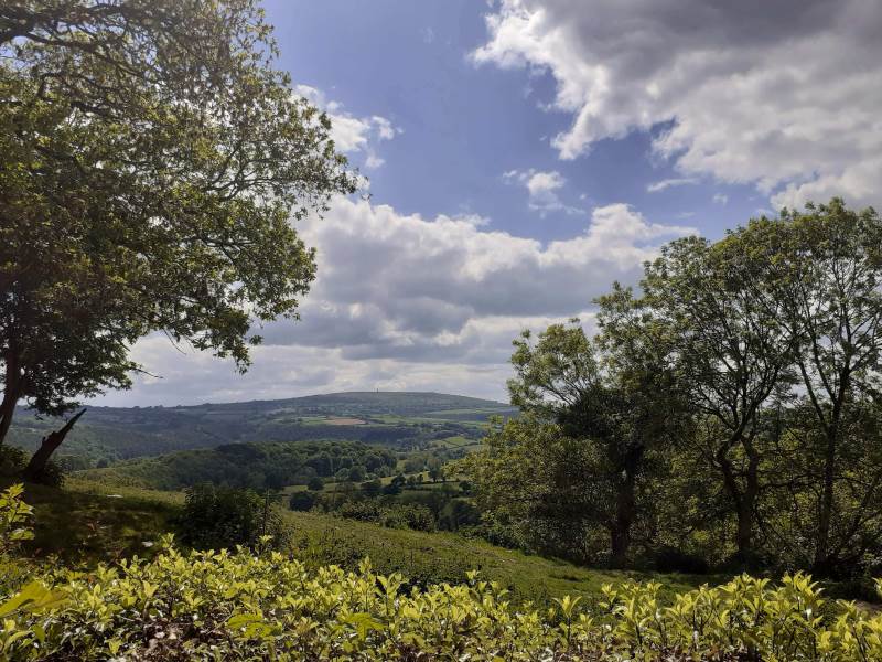 View of Kit Hill